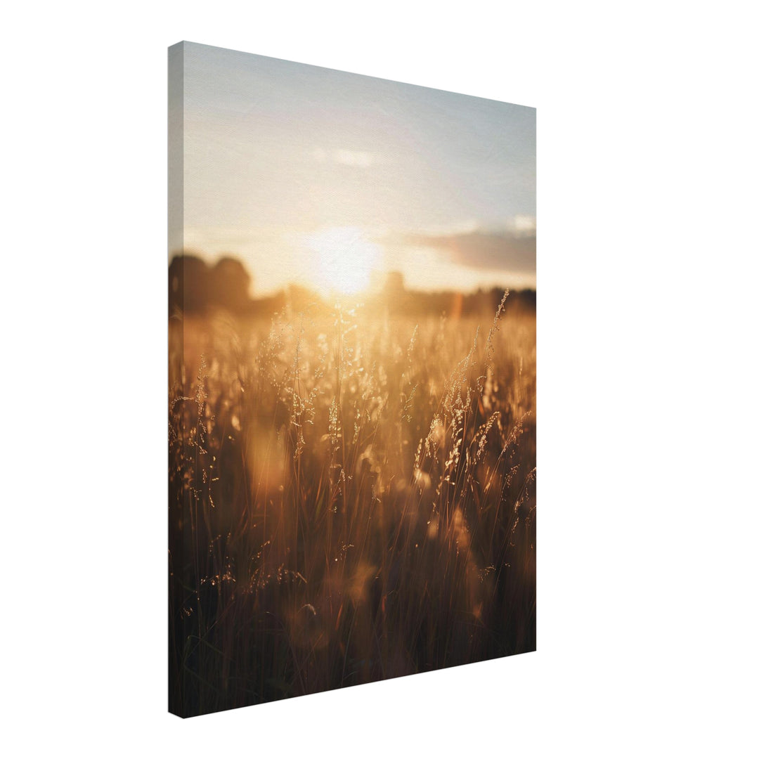 Goldenes Abendlicht im Grasfeld Leinwandbild – Schräge Ansicht – Produktfoto