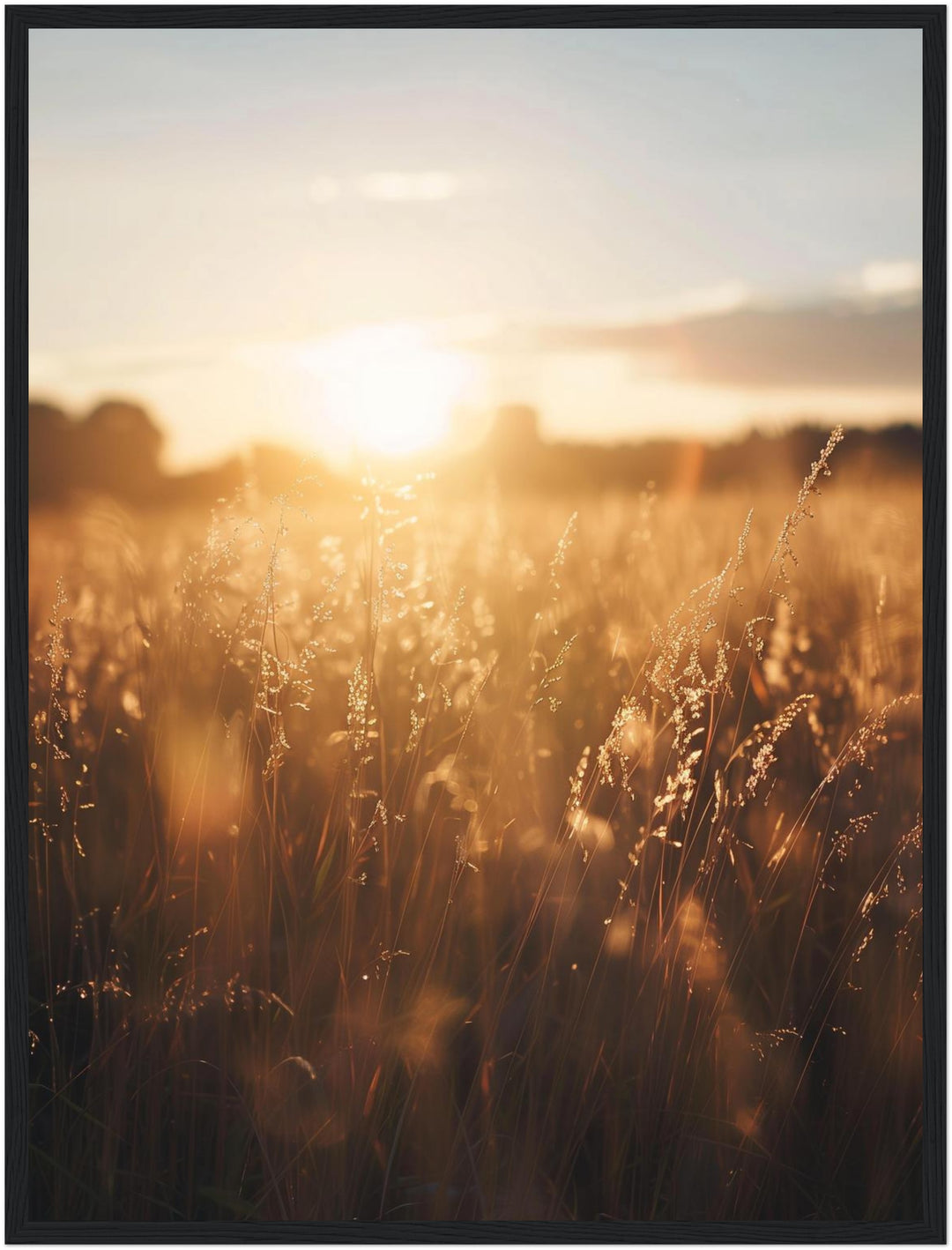 Goldenes Abendlicht im Grasfeld Poster – Schwarzer Rahmen – Produktfoto