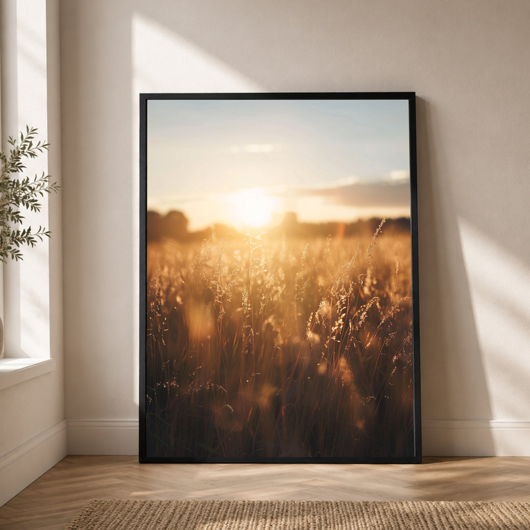 Goldenes Abendlicht im Grasfeld Poster – Schwarzer Rahmen – Produktfoto