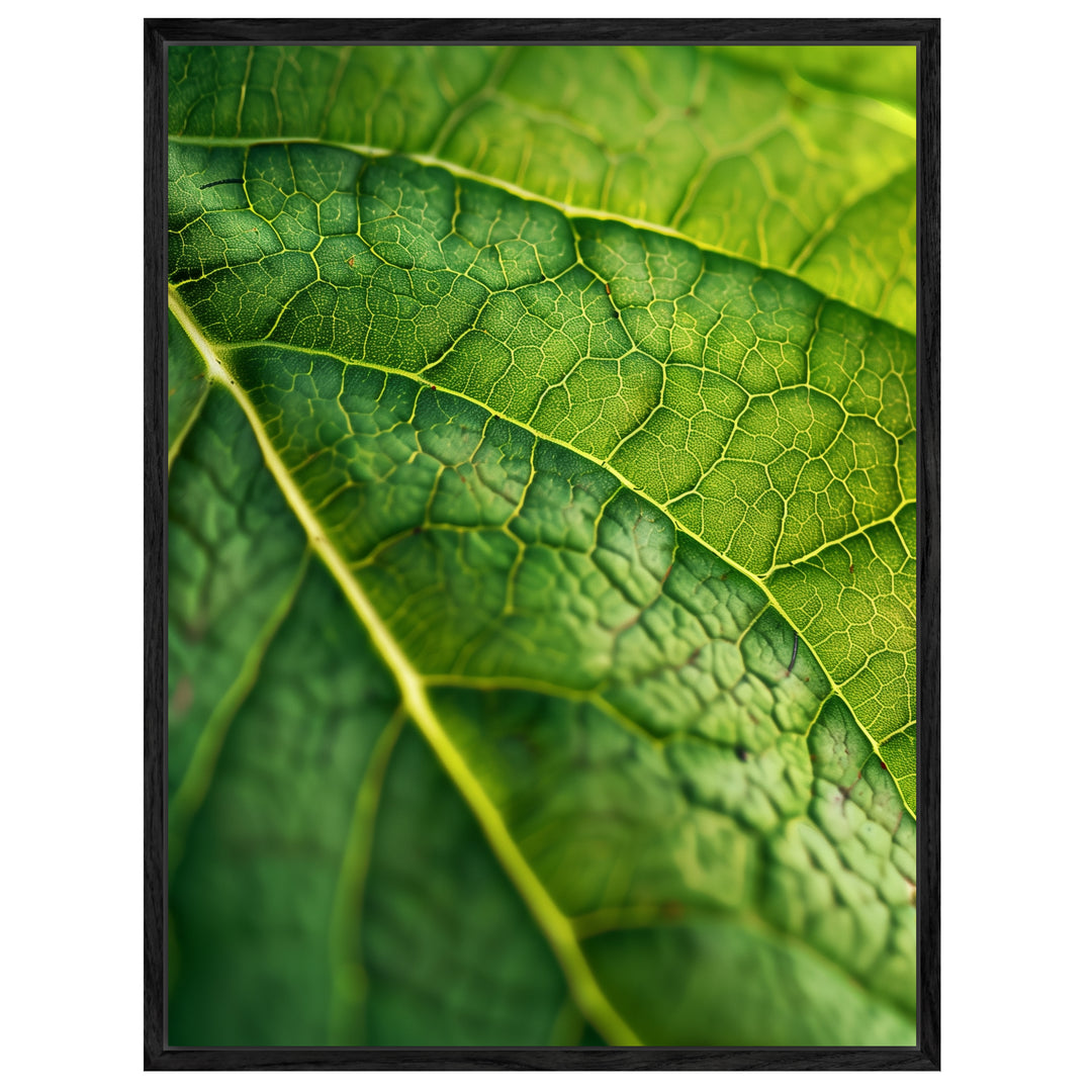 Grünes Blatt Makro Leinwandbild – Leinwandbild