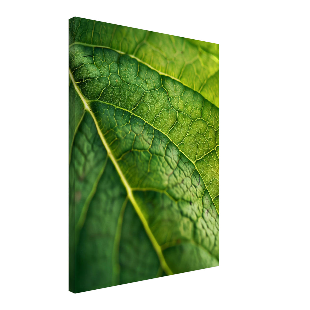 Grünes Blatt Makro Leinwandbild – Schräge Ansicht – Produktfoto