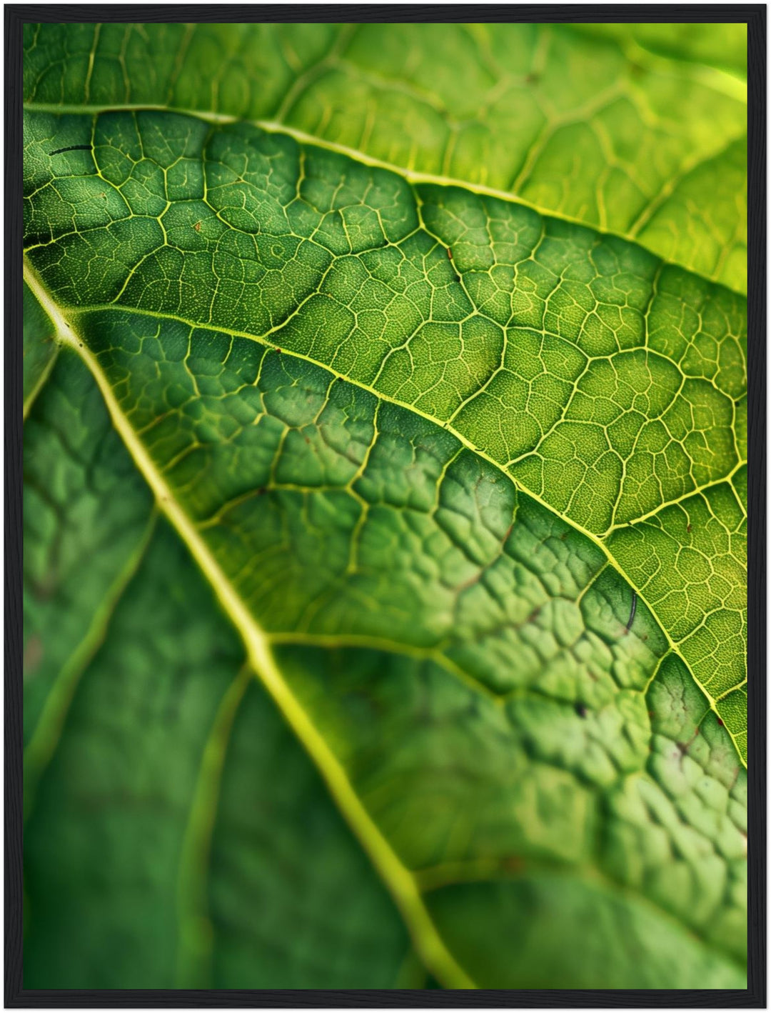 Grünes Blatt Makro Poster Landschaft – mattes Kunstdruck-Papier – Ansicht 5