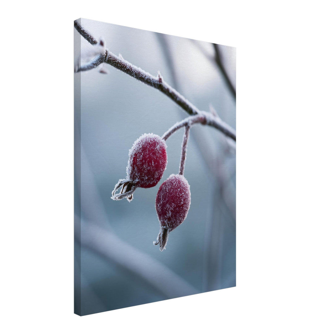 Hagebutten im Winterfrost Leinwandbild – Schräge Ansicht – Produktfoto