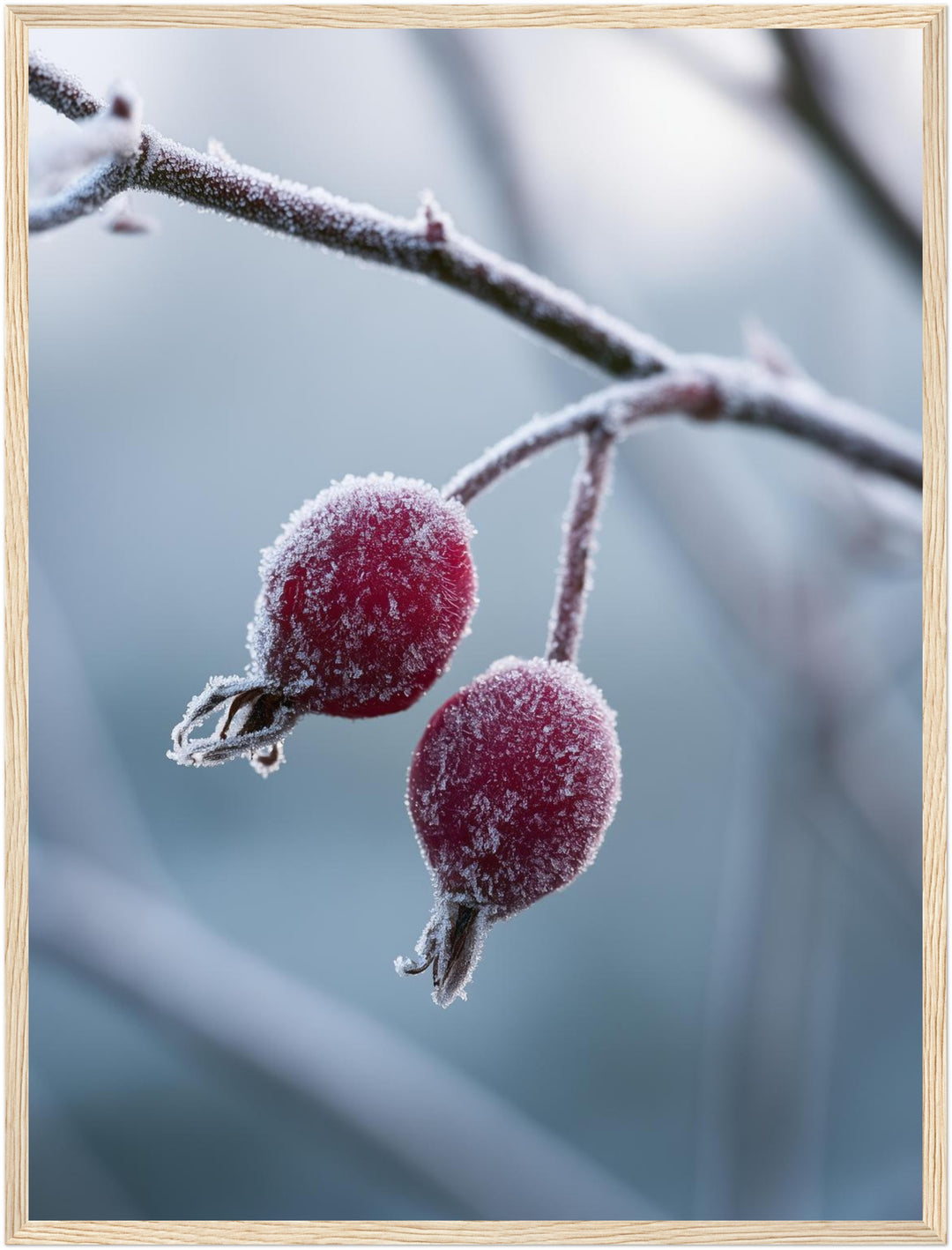 Hagebutten im Winterfrost Poster – Holz natur Rahmen – Produktfoto