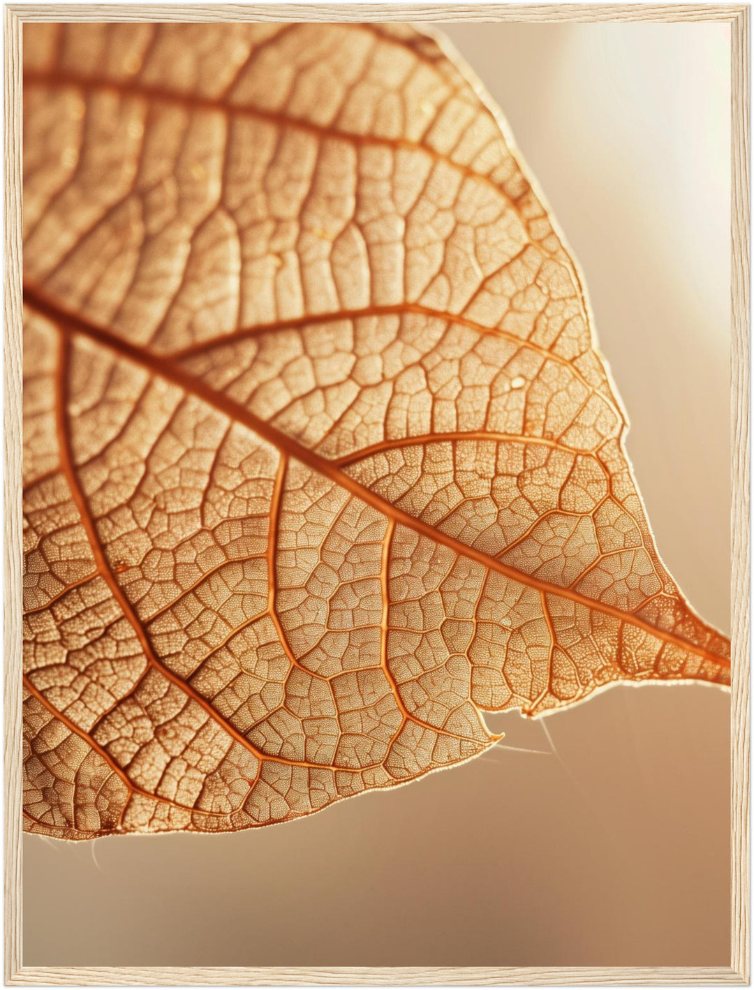Goldenes Blattgeäder im Licht Poster – Holz natur Rahmen – Produktfoto