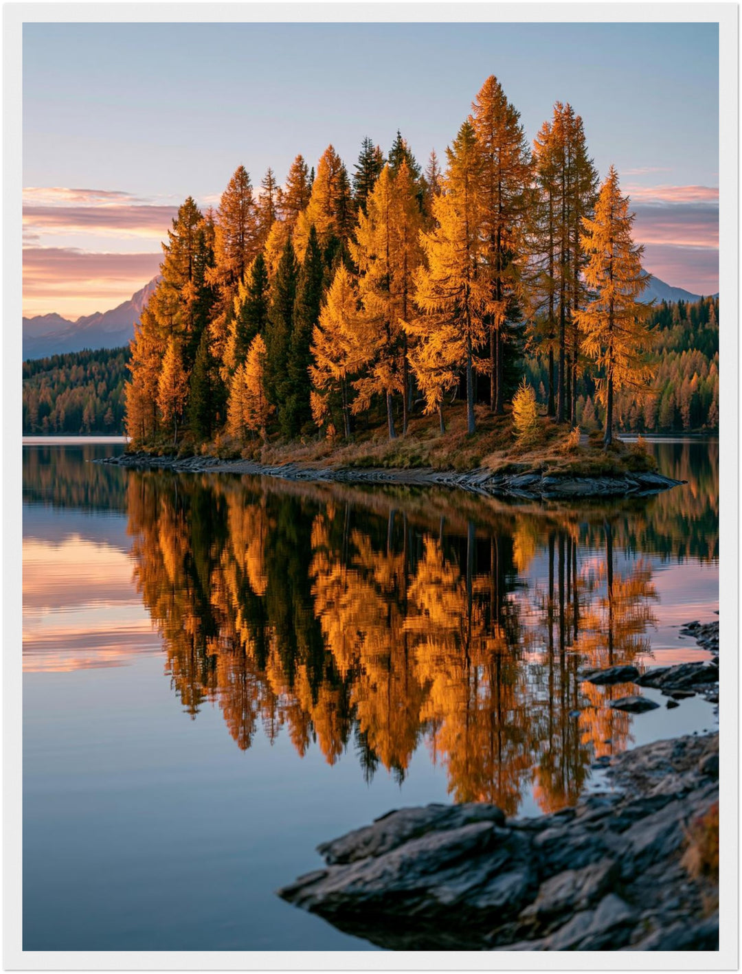 Goldener Lärchensee im Herbst Poster – Weißer Rahmen – Produktfoto