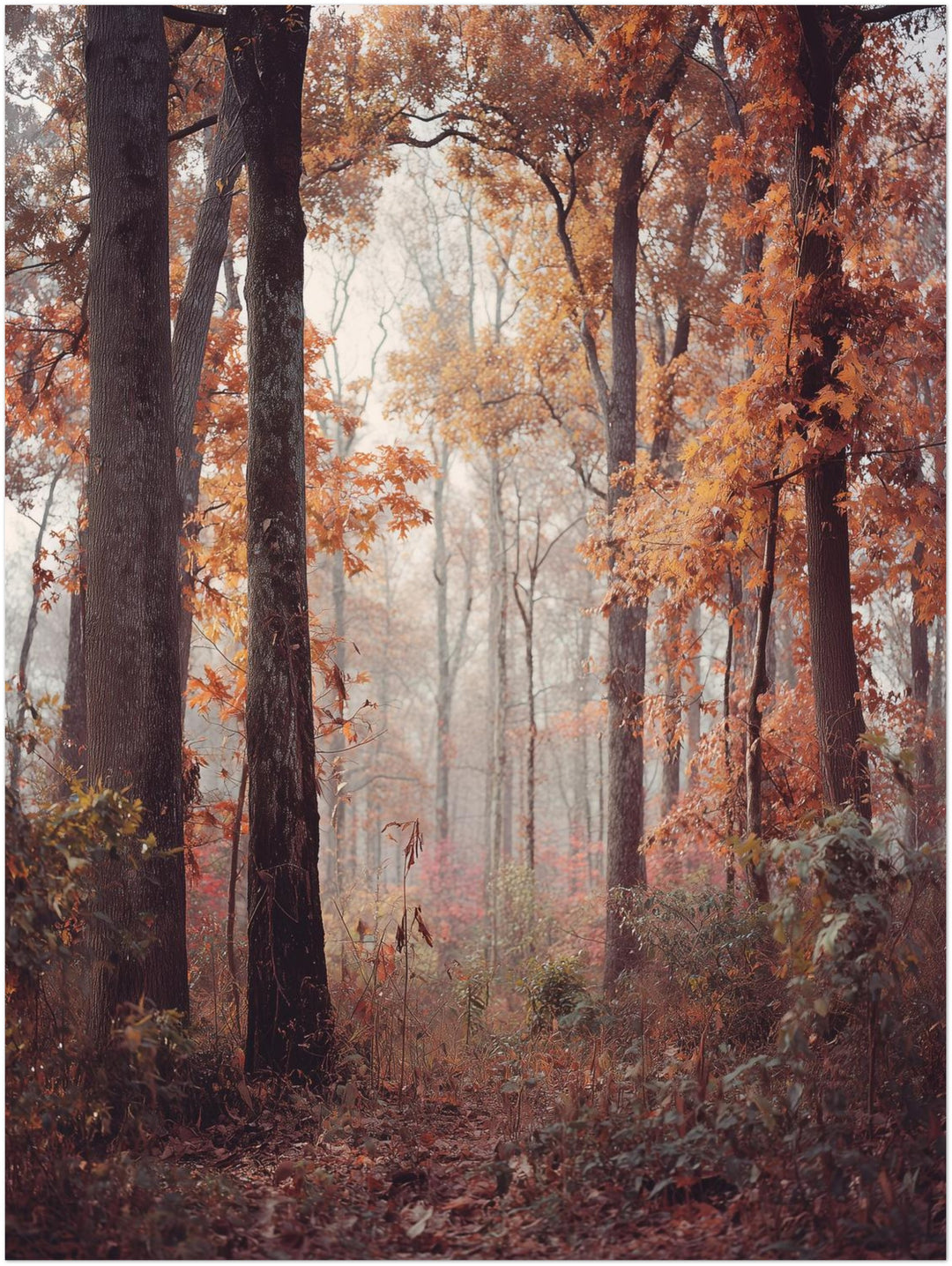 Herbstlicher Laubwald abstrakt – Wandkunst