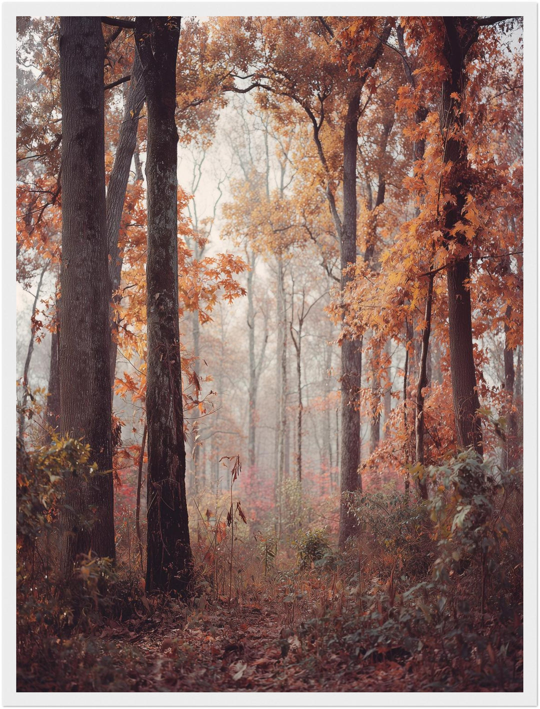 Herbstlicher Laubwald Poster abstrakt – mattes Kunstdruck-Papier – Ansicht 6