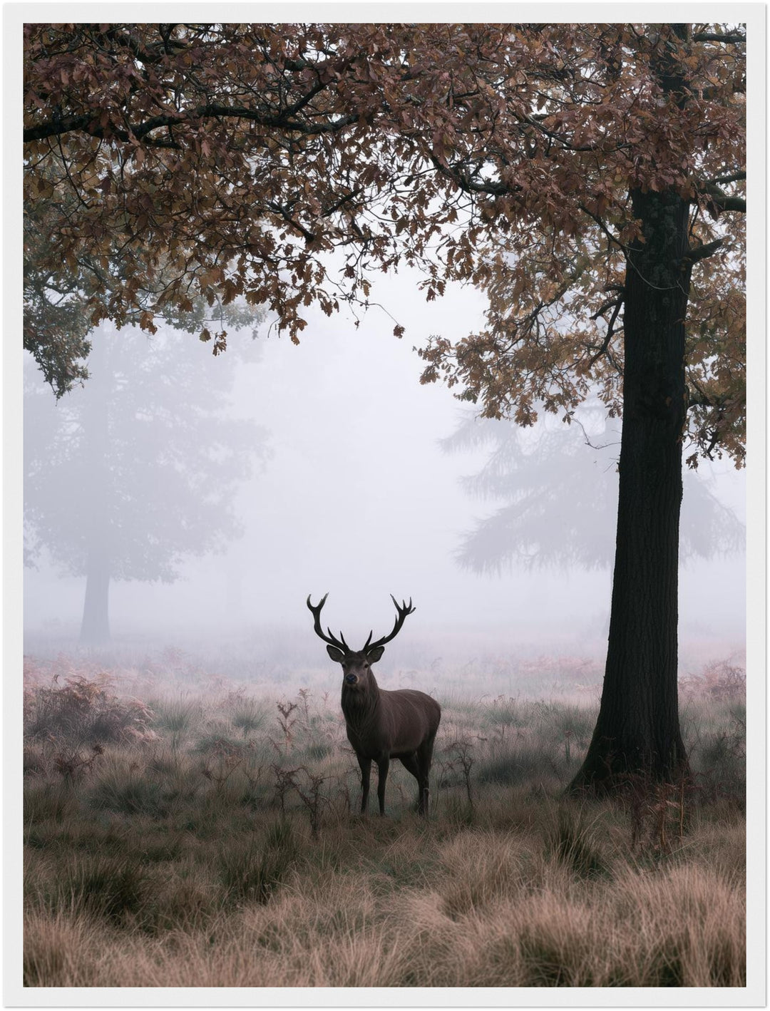 Hirsch im Herbstnebel Poster – Weißer Rahmen – Produktfoto