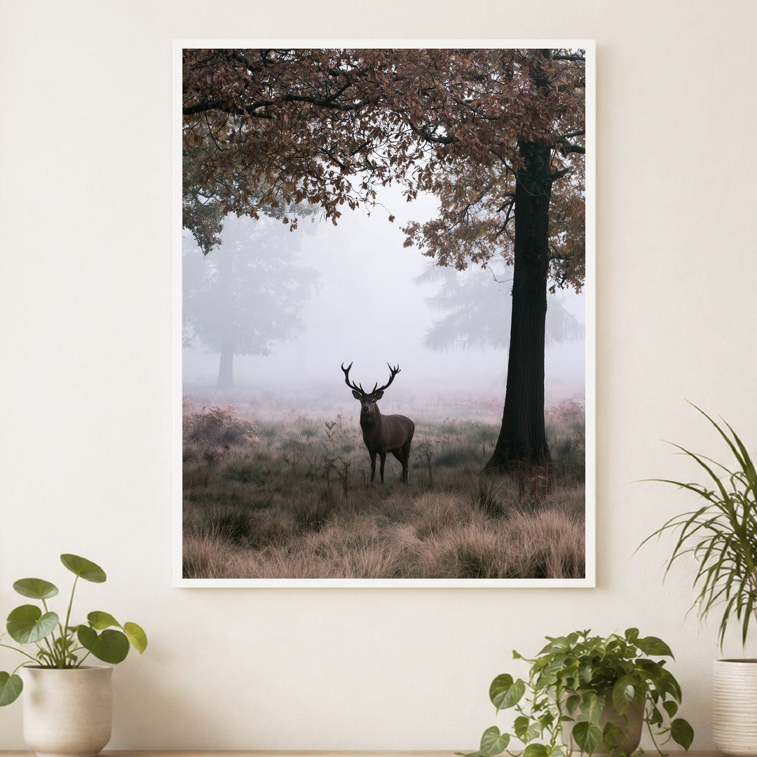 Hirsch im Herbstnebel Poster – Weißer Rahmen – Produktfoto