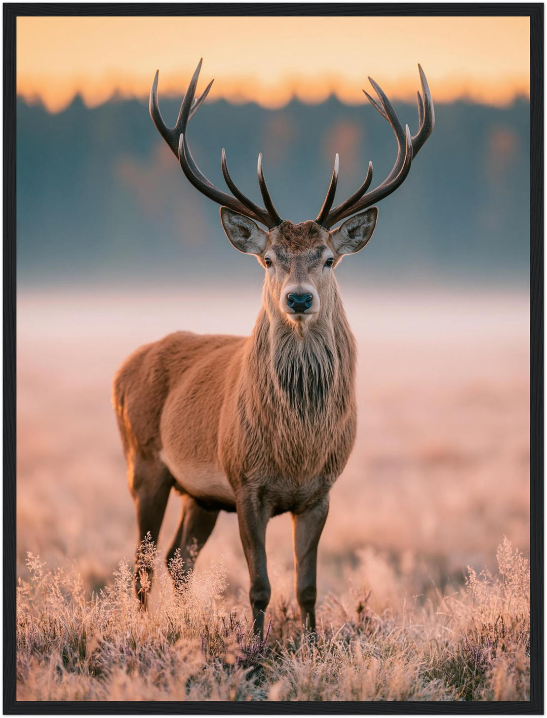 Hirsch im Morgenlicht Poster – Schwarzer Rahmen – Produktfoto