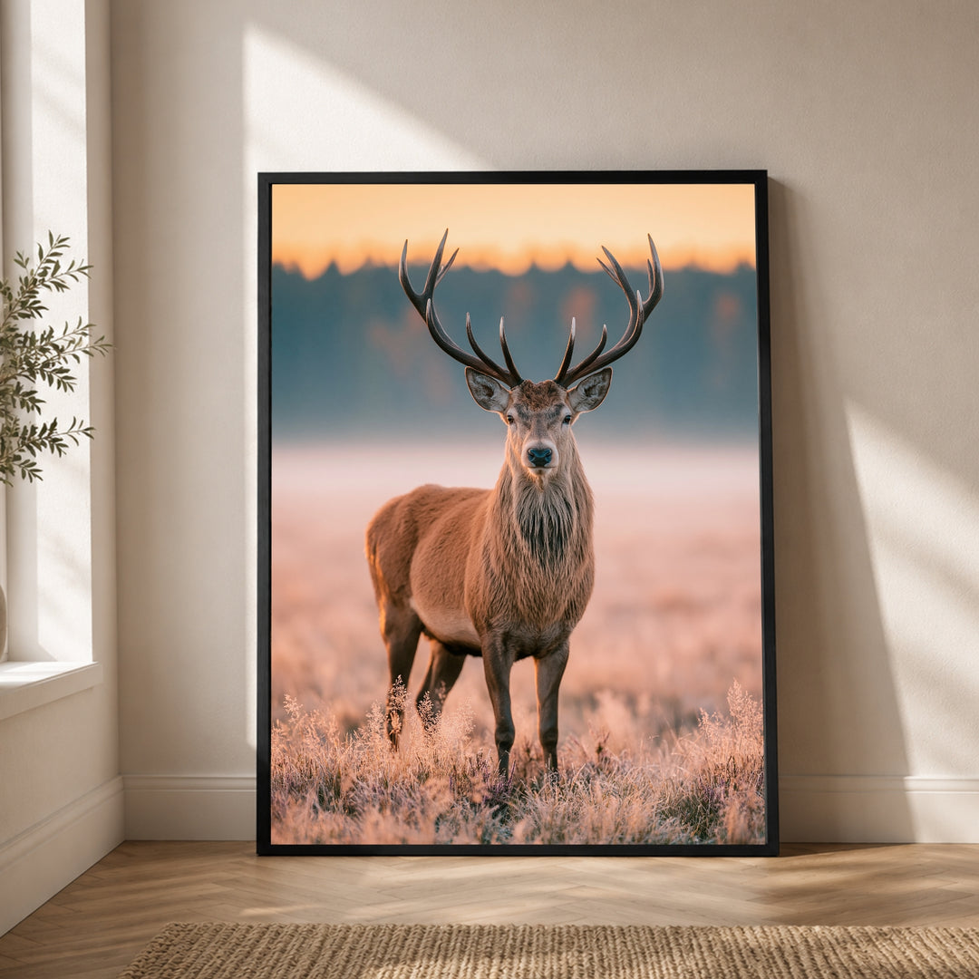Hirsch im Morgenlicht Poster – Schwarzer Rahmen – Produktfoto