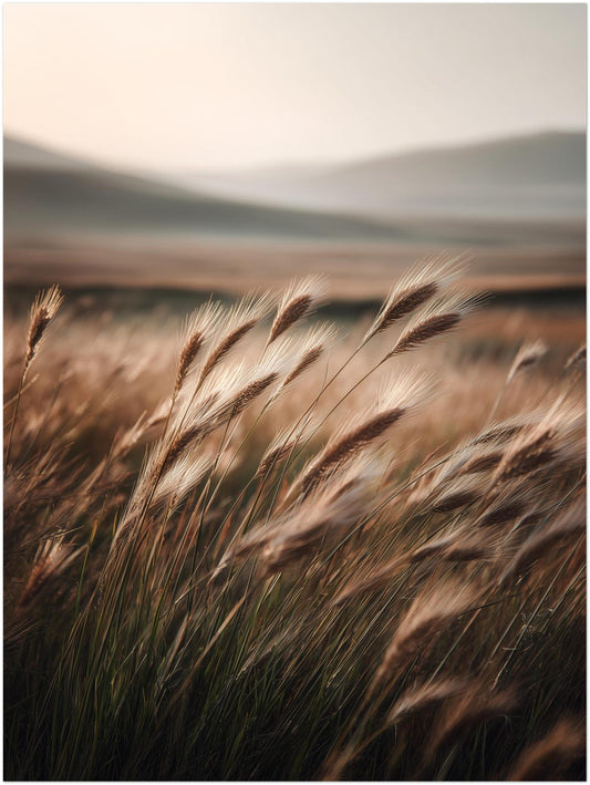 Hohes Gras im Wind Poster