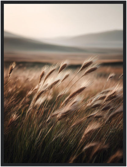 Hohes Gras im Wind Poster
