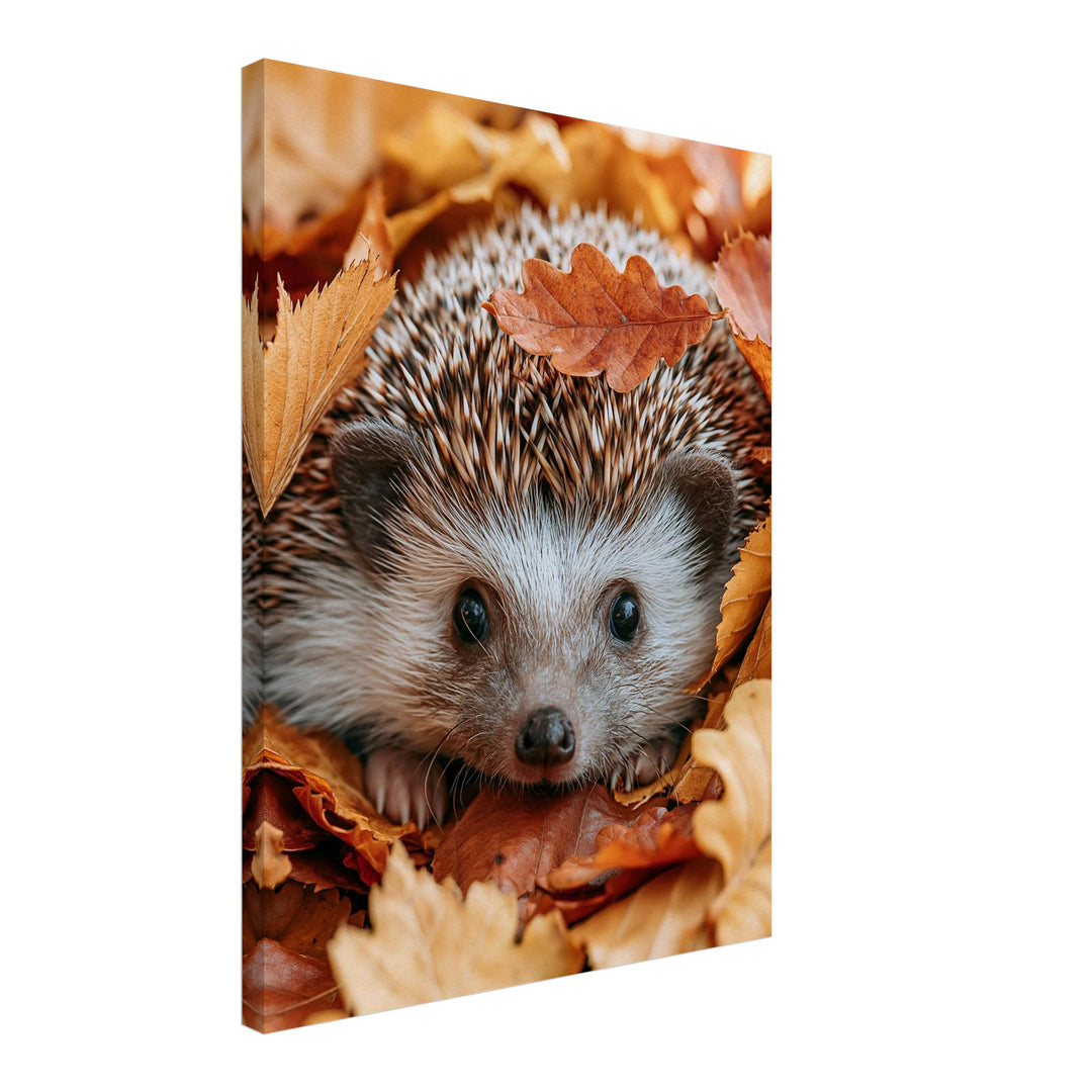 Igel im Herbstlaub Leinwandbild – Schräge Ansicht – Produktfoto