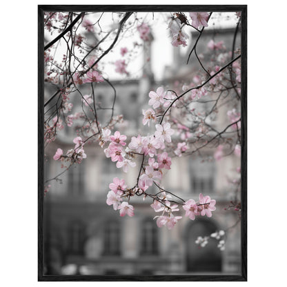Kirschblüten vor Stadtfassade Leinwandbild