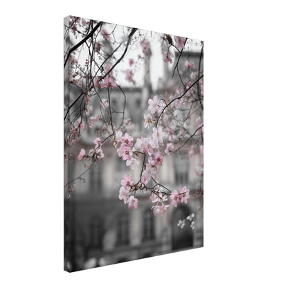 Kirschblüten vor Stadtfassade Leinwandbild