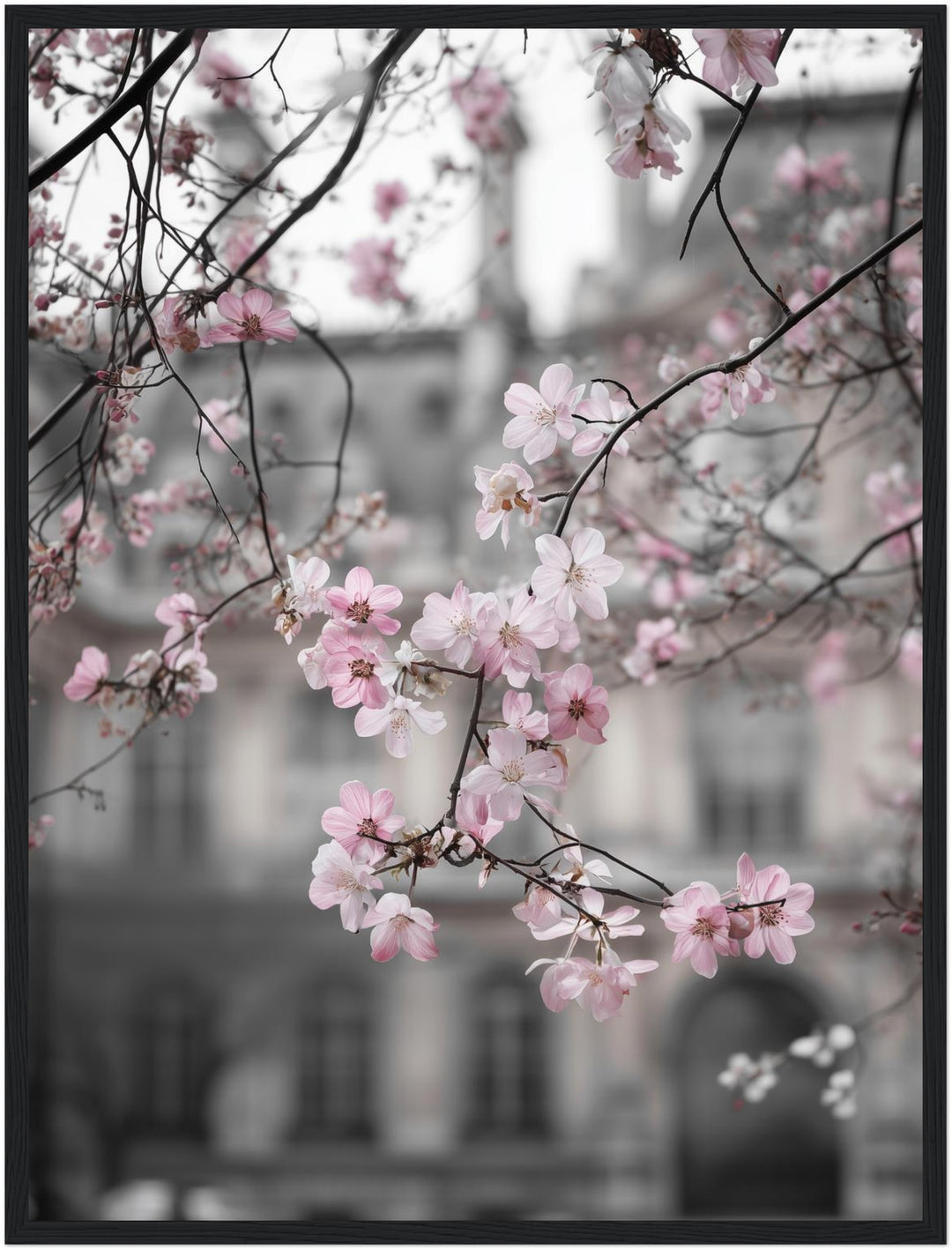 Kirschblüten vor Stadtfassade Poster abstrakt – mattes Kunstdruck-Papier – Ansicht 5