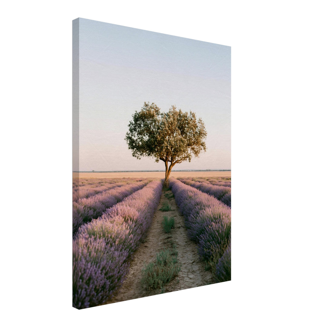 Lavendelfeld mit Baum Leinwandbild – Schräge Ansicht – Produktfoto
