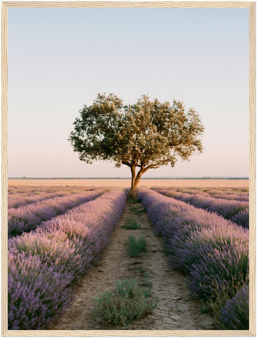 Lavendelfeld mit Baum Poster – Holz natur Rahmen – Produktfoto