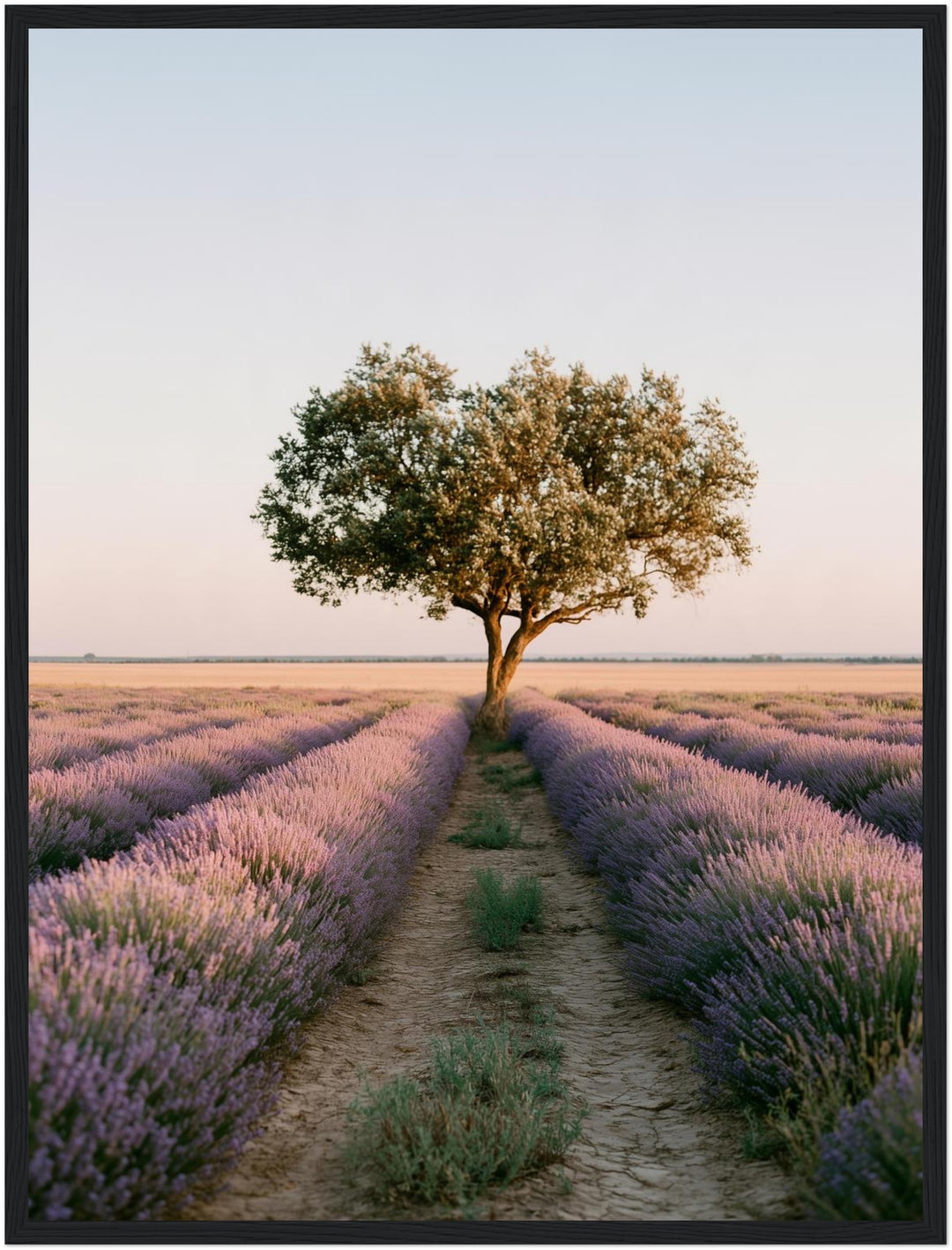 Lavendelfeld mit Baum Poster – Schwarzer Rahmen – Produktfoto