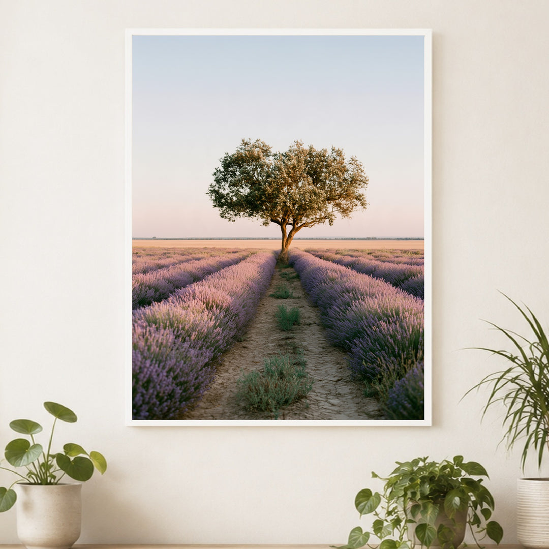 Lavendelfeld mit Baum Poster – Weißer Rahmen – Produktfoto