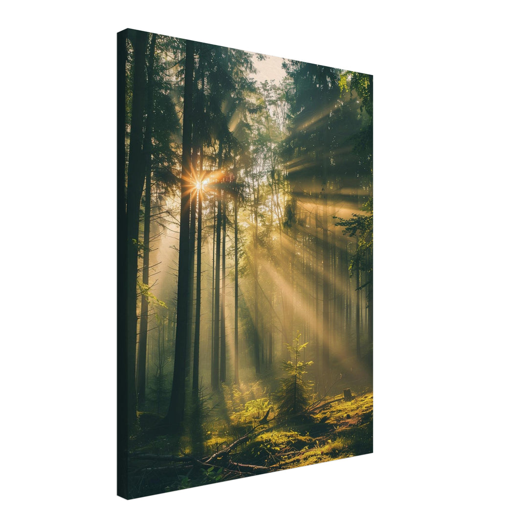 Lichtstrahlen im Wald Leinwandbild Landschaft – Leinwand auf Holzrahmen – Ansicht 2