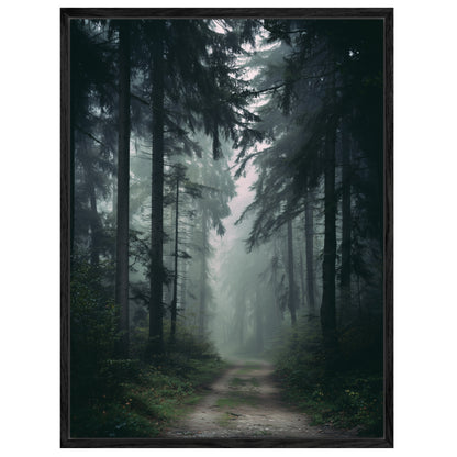 Nebelwald mit Pfad Leinwandbild