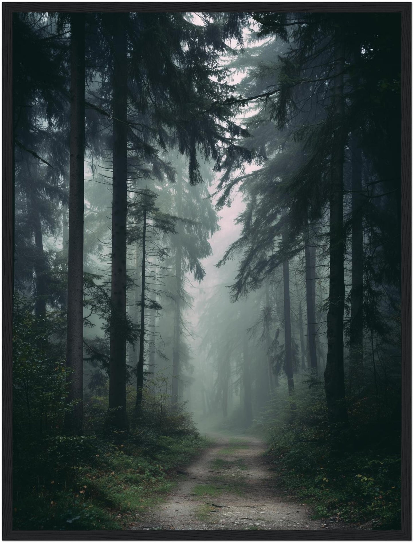 Nebelwald mit Pfad Poster