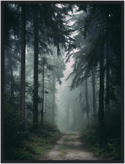 Nebelwald mit Pfad Poster