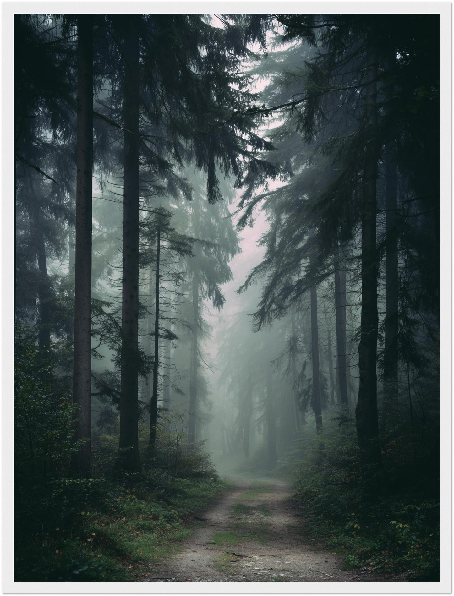 Nebelwald mit Pfad Poster