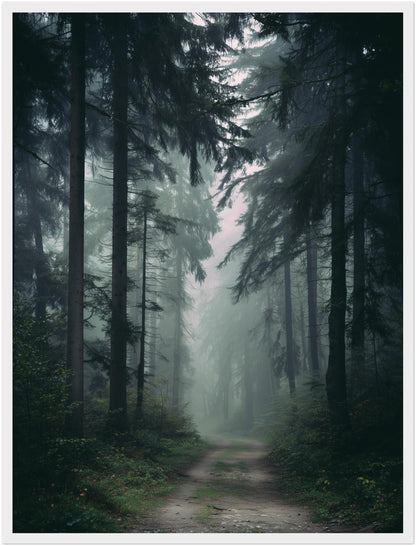 Nebelwald mit Pfad Poster