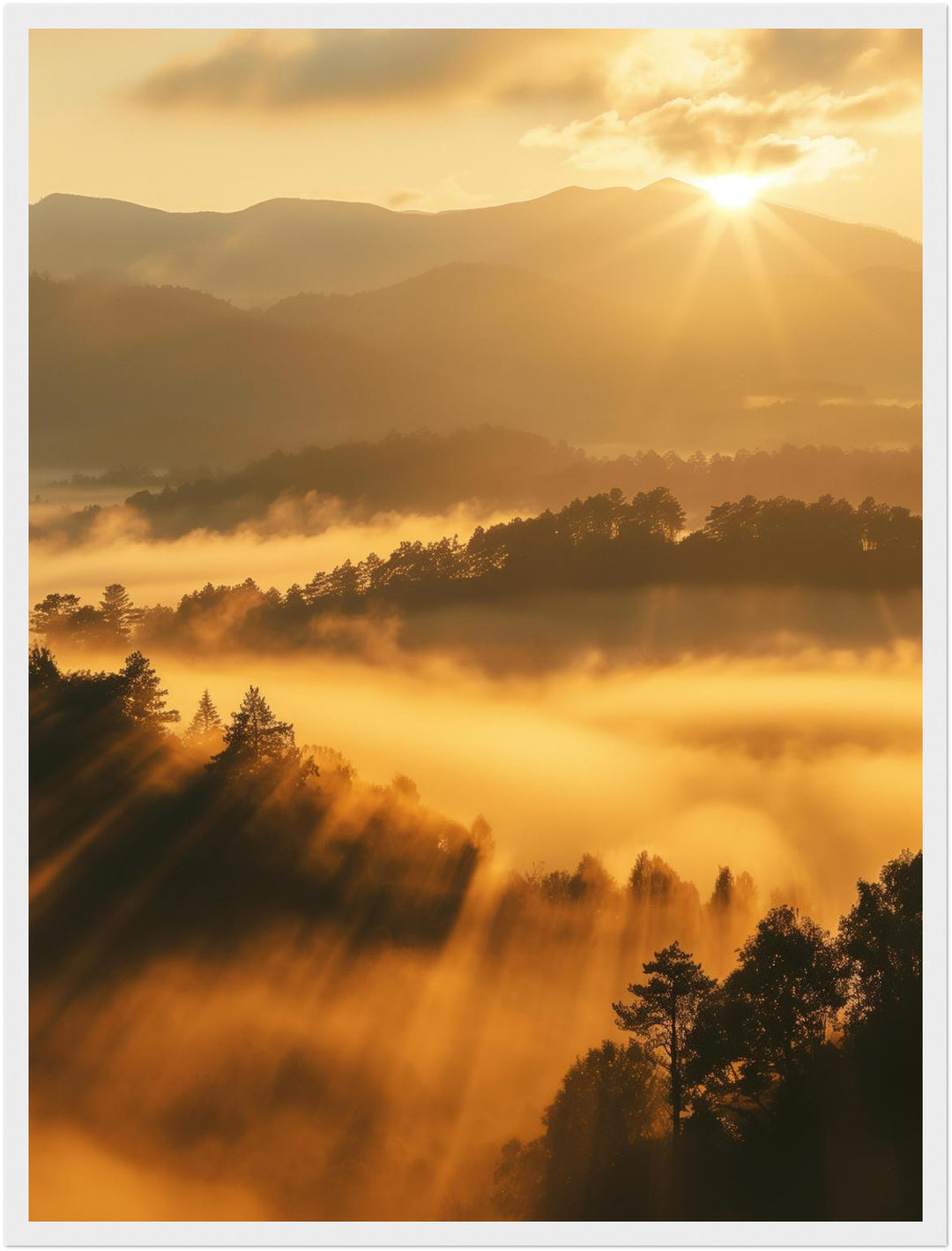 Sonnenstrahlen über Nebelwald Poster abstrakt – mattes Kunstdruck-Papier – Ansicht 5