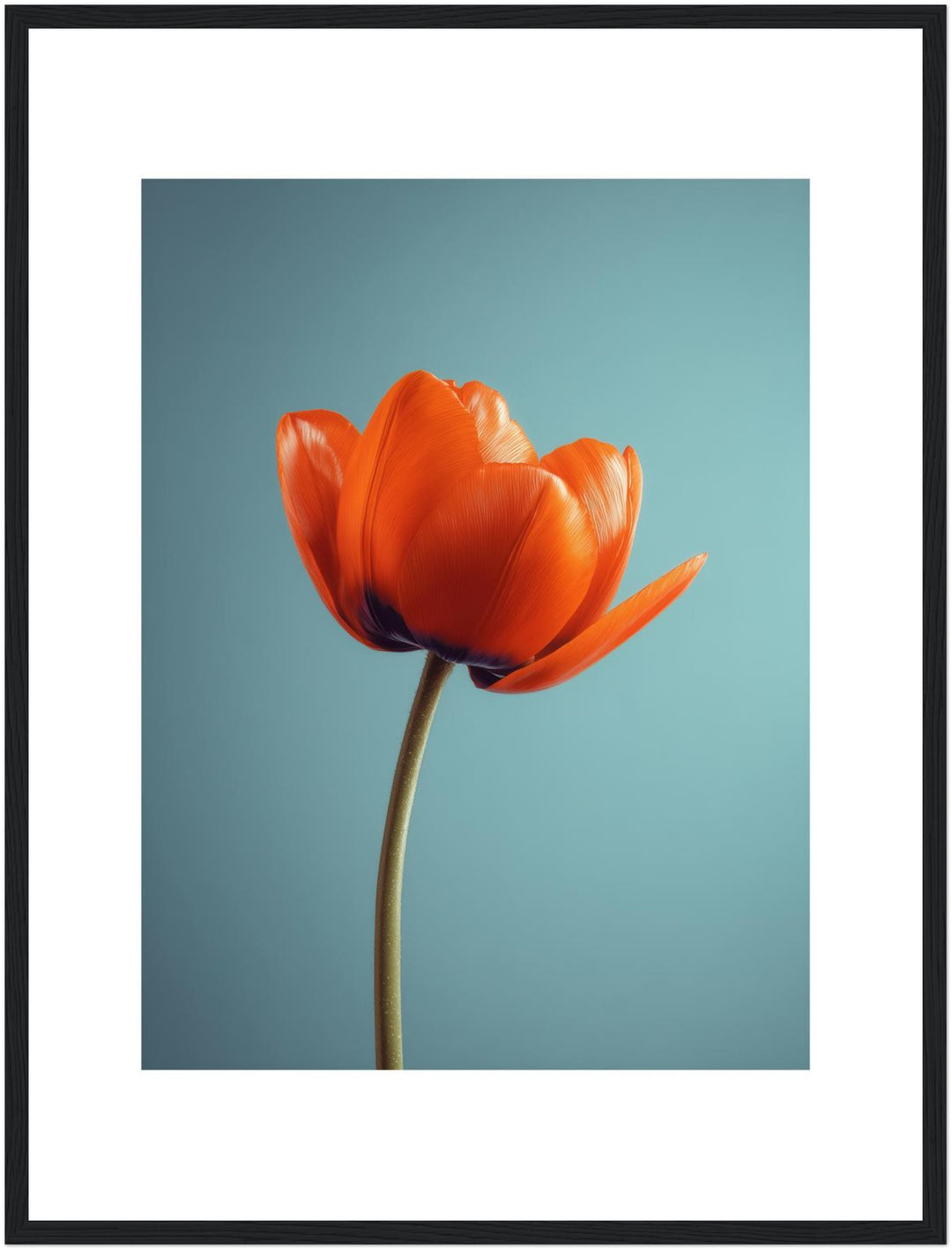 Orangene Tulpe Poster Landschaft – mattes Kunstdruck-Papier – Ansicht 5