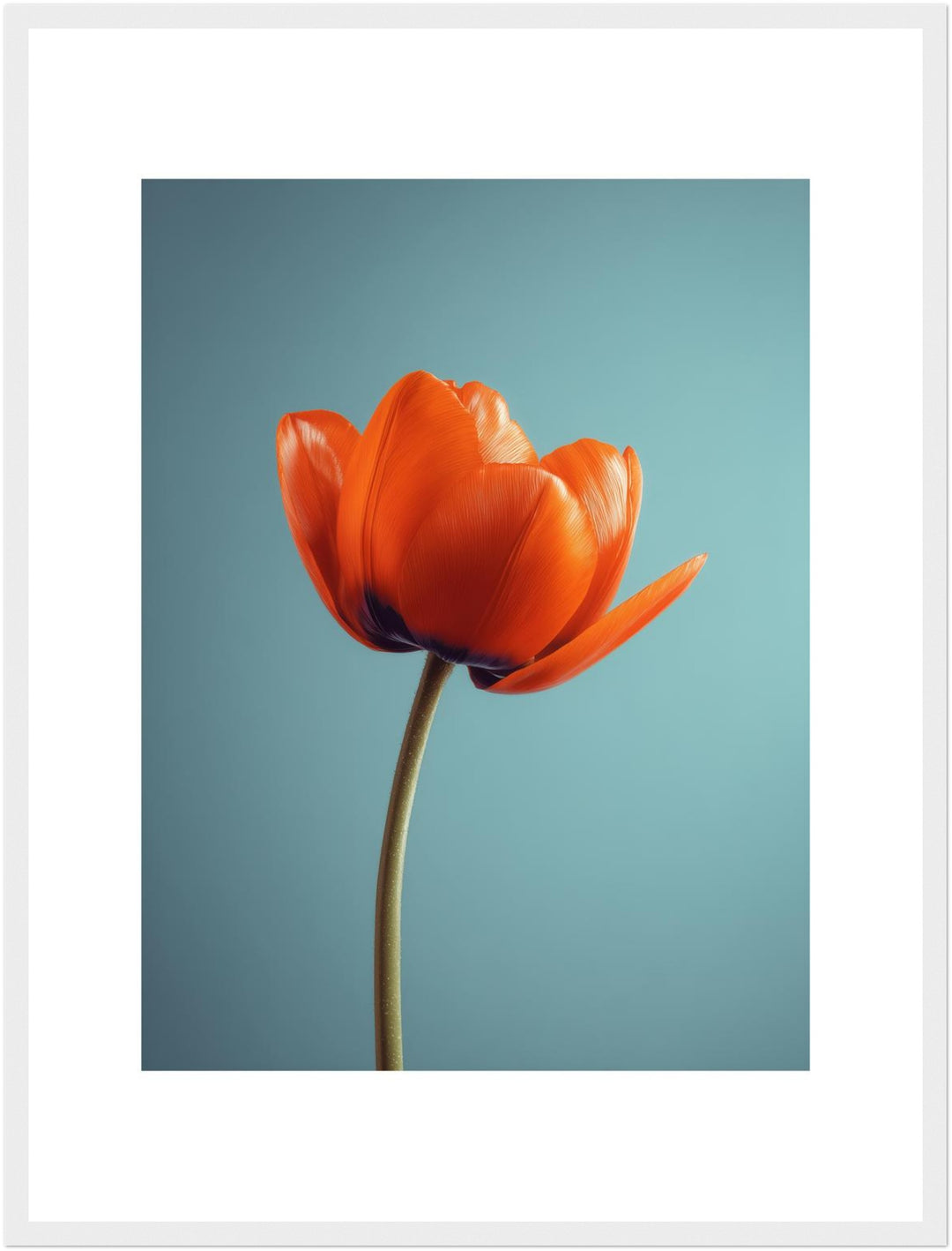 Orangene Tulpe Poster Landschaft – mattes Kunstdruck-Papier – Ansicht 6