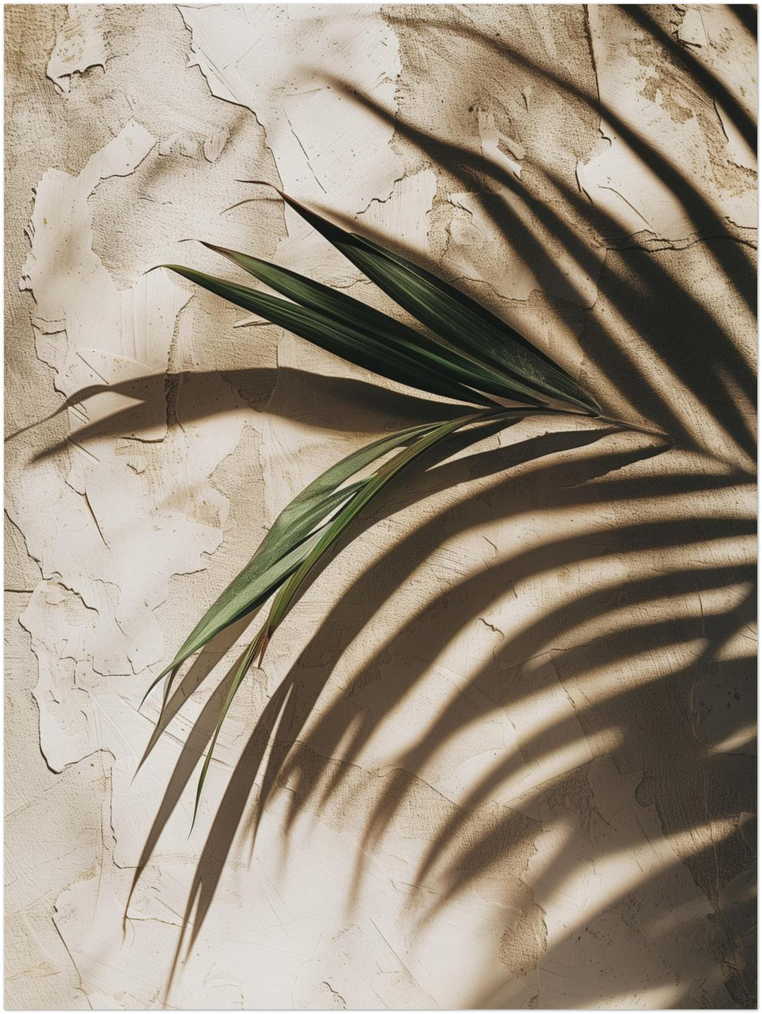 Palmschatten auf Putz Landschaft – Wandkunst