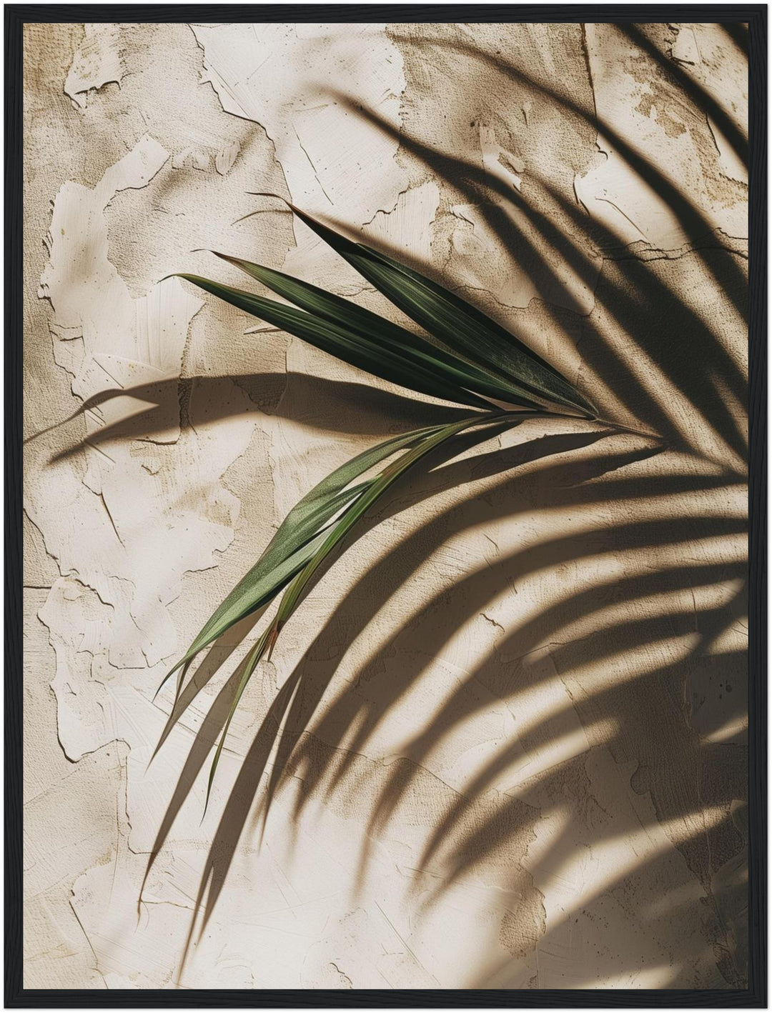 Palmschatten auf Putz Poster Landschaft – mattes Kunstdruck-Papier – Ansicht 5