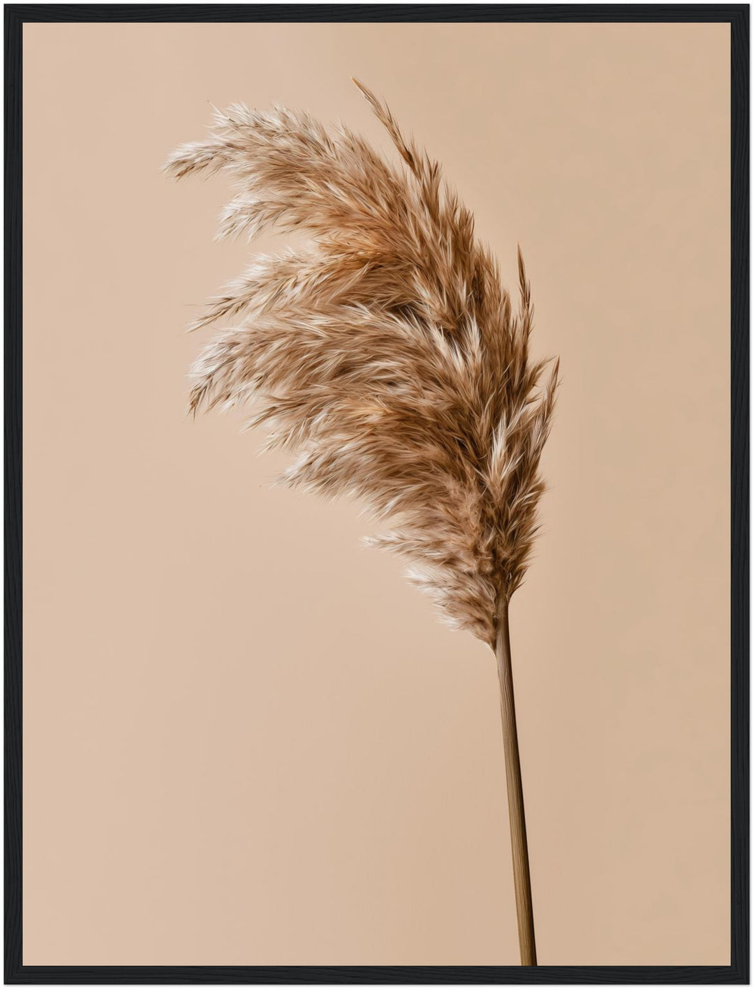 Pampasgras im Wind Poster – Schwarzer Rahmen – Produktfoto