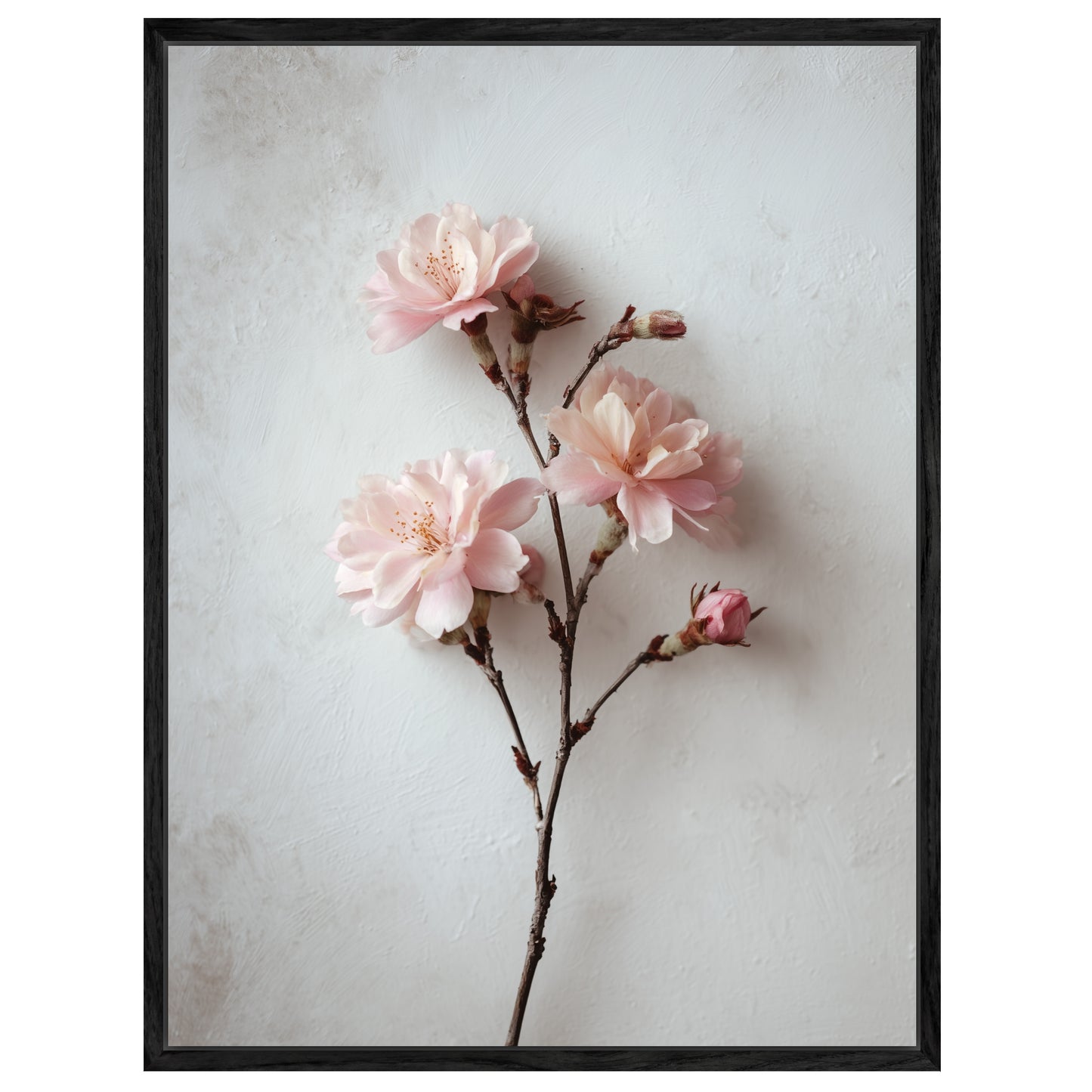 Rosa Blütenzweig Leinwandbild