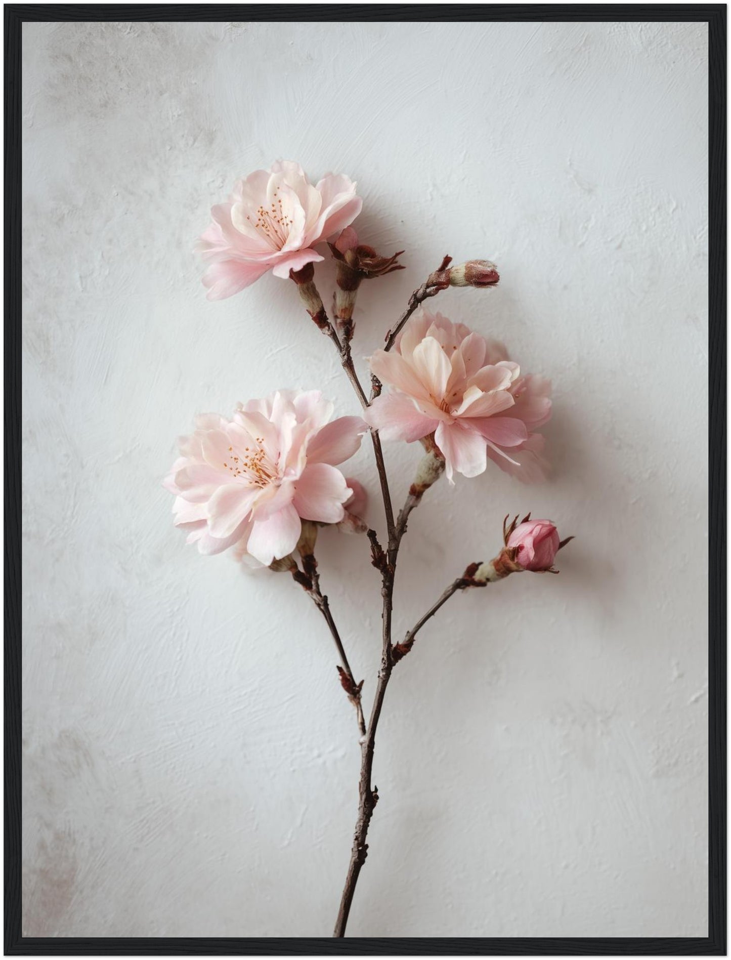 Rosa Blütenzweig Poster