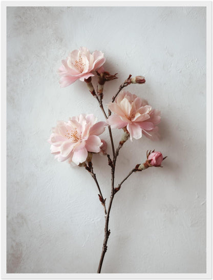 Rosa Blütenzweig Poster