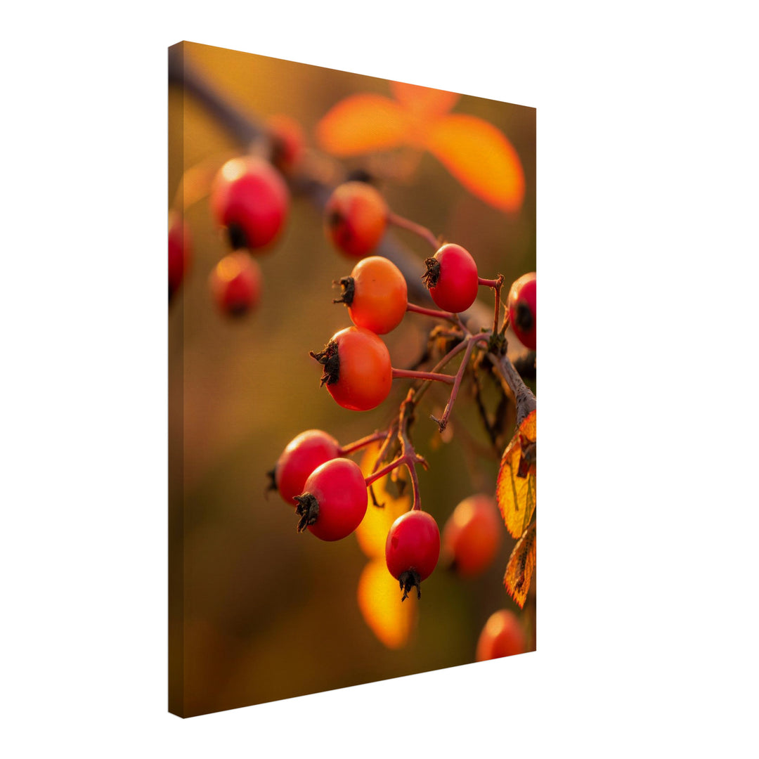 Rote Hagebutten im Herbstlicht Leinwandbild – Schräge Ansicht – Produktfoto