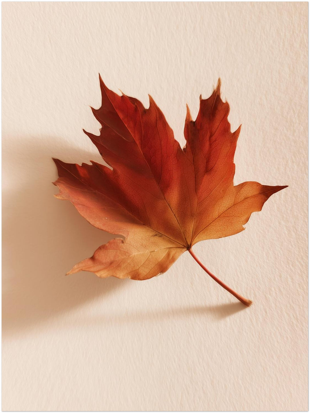 Herbstblatt im Licht Leinwandbild – Ohne Rahmen – Produktfoto