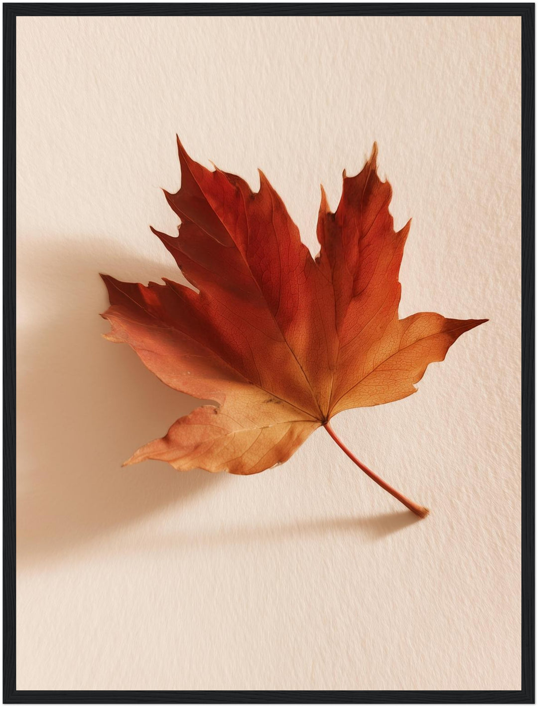 Herbstblatt im Licht Poster – Schwarzer Rahmen – Produktfoto