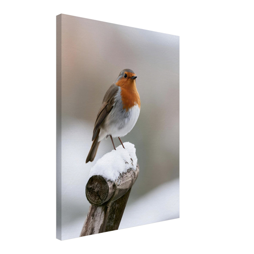 Rotkehlchen im Winterschnee Leinwandbild – Schräge Ansicht – Produktfoto