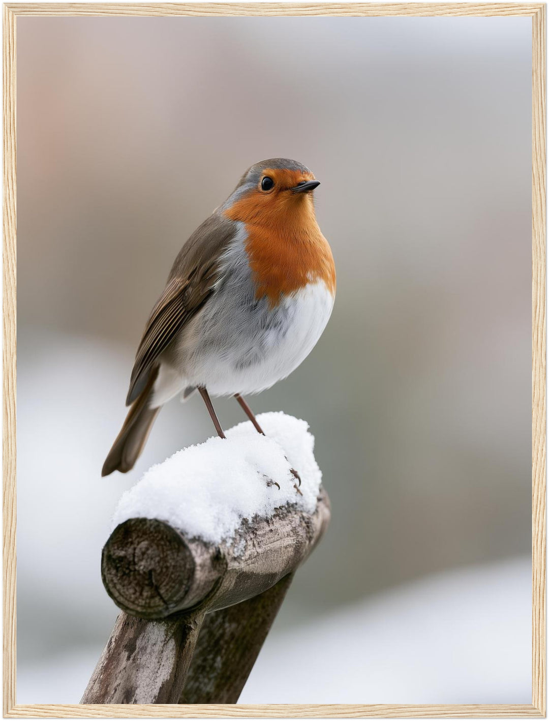 Rotkehlchen im Winterschnee Poster – Holz natur Rahmen – Produktfoto