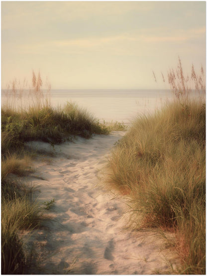 Sandweg durch Dünen Poster