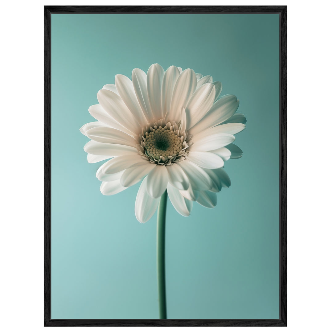 Weiße Gerbera auf Türkis Leinwand Landschaft – Leinwand auf Holzrahmen – Ansicht 4