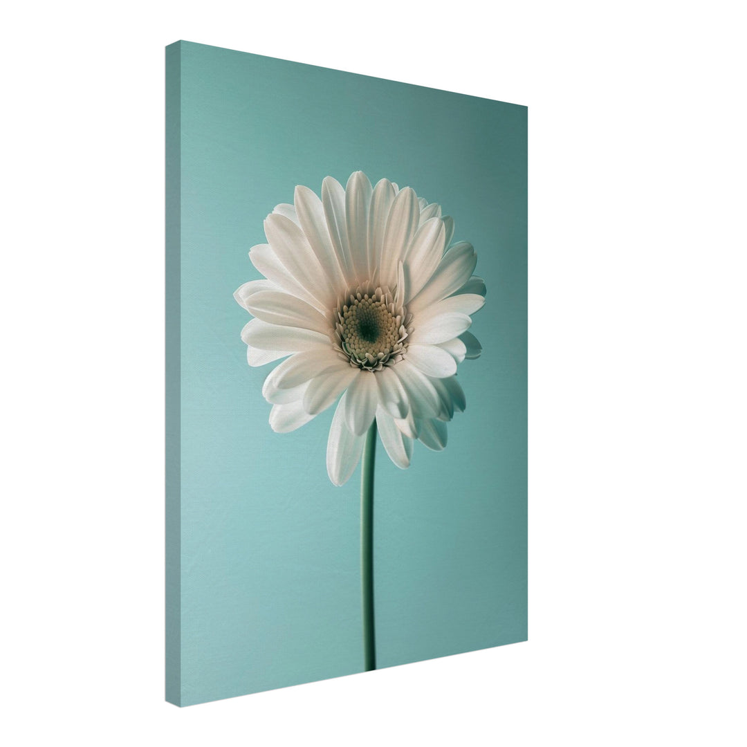 Weiße Gerbera auf Türkis Leinwand Landschaft – Leinwand auf Holzrahmen – Ansicht 2