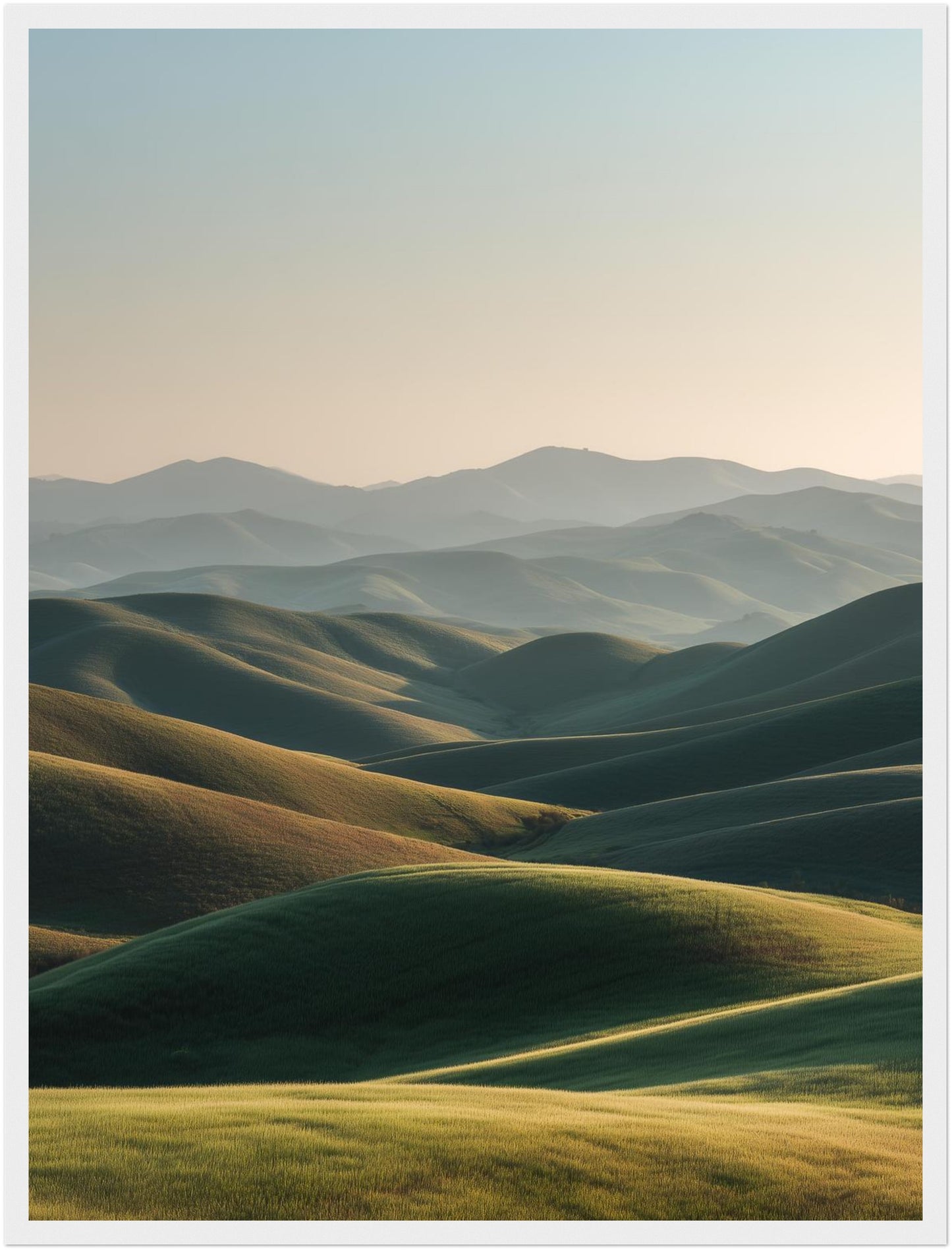 Sanfte Hügel im Licht Poster